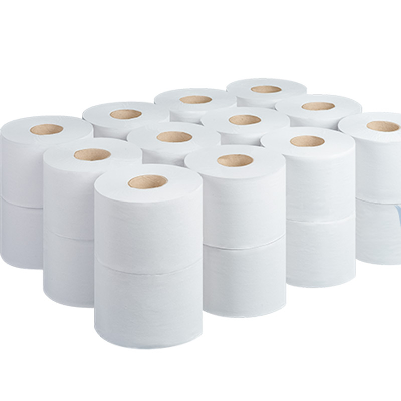 2-ply Premium White Twin Toilet Rolls (24)